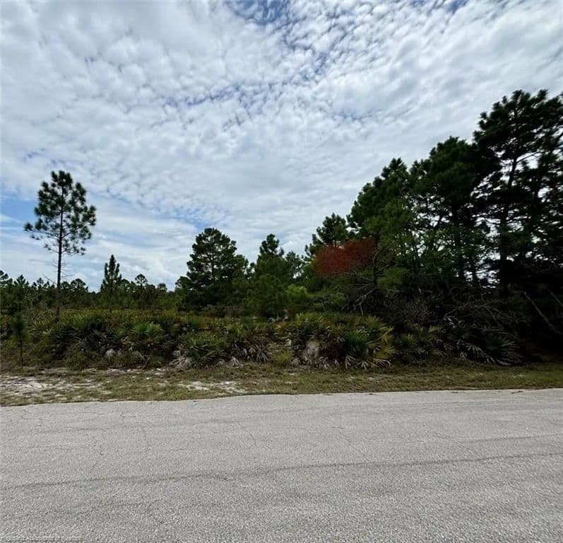 Lots & Land-Other in Lake Placid - Lake Placid, Florida, 33852