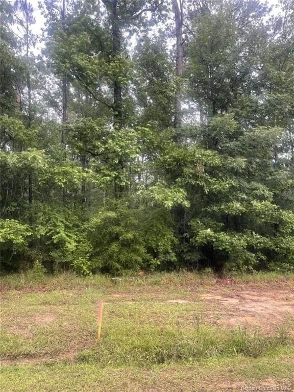 Vacant Land in Ragley - Ragley, Louisiana, 70657