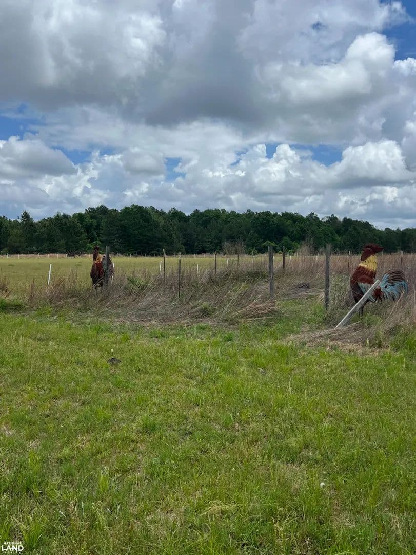 Dos Gallos Ranch - Saratoga, Texas, 77585