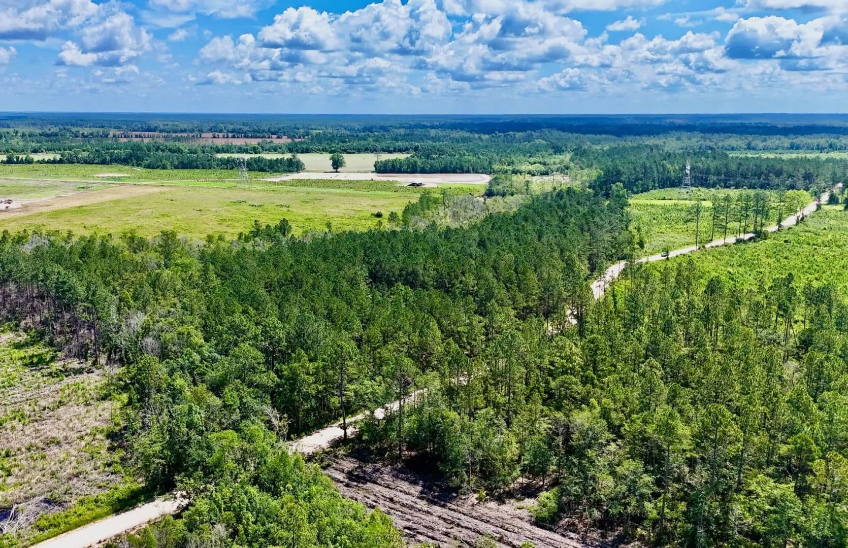 32 Acres of Land for Sale in Odum, GA - Odum, Georgia, 31555