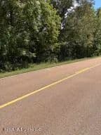 Vacant Land (0-10 Acres) in Flora - Flora, Mississippi, 39071
