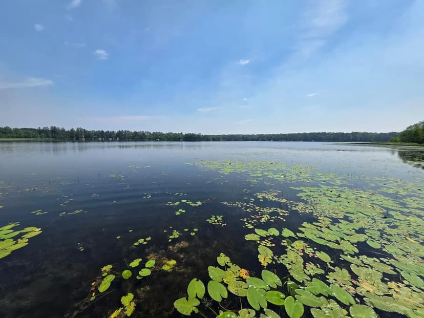 Vacant Land in Palisade