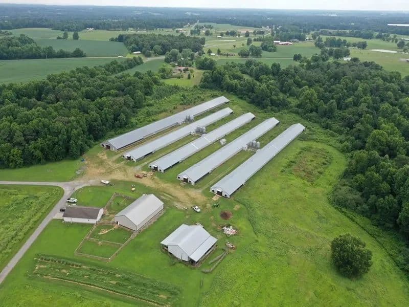 Double M Farm – Five House Broiler Farm Located in Dekalb County Alabama - Fyffe, Alabama, 35971