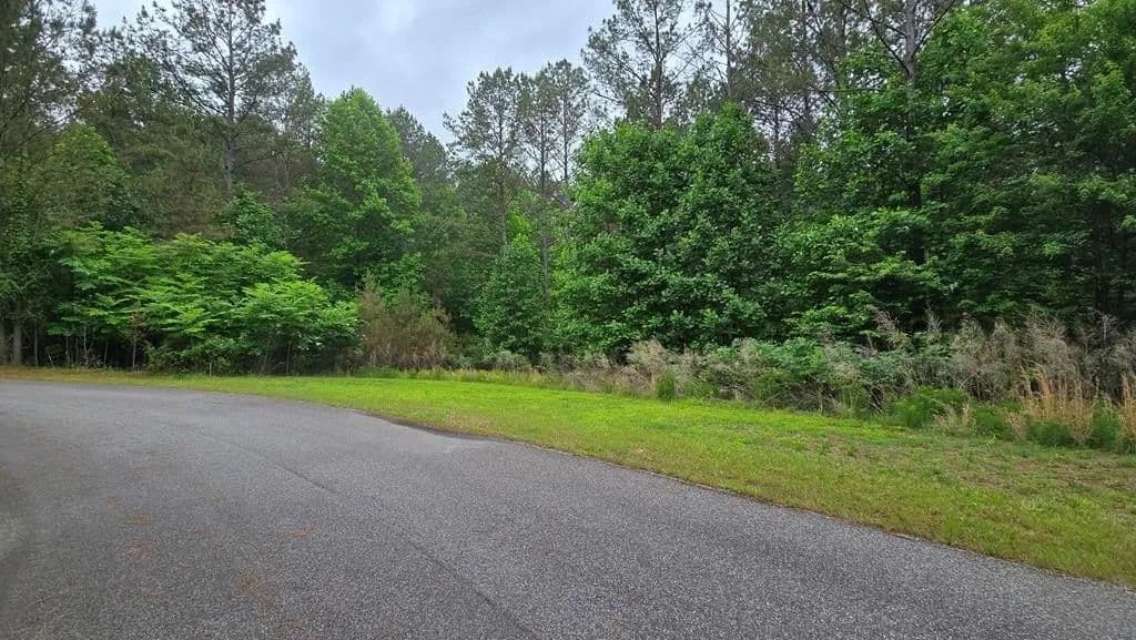 Lots & Land-Other in Blairsville - Blairsville, Georgia, 30512