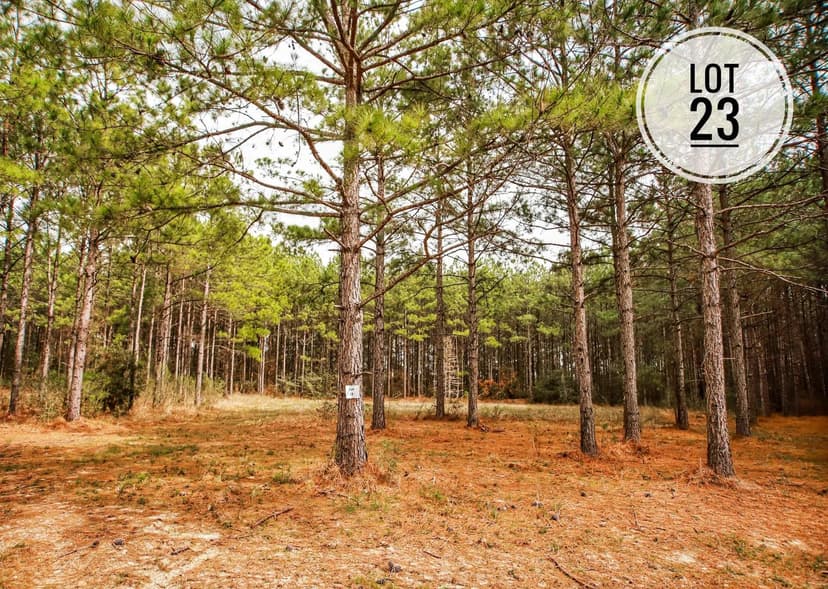 Lots & Land-Other in Anacoco