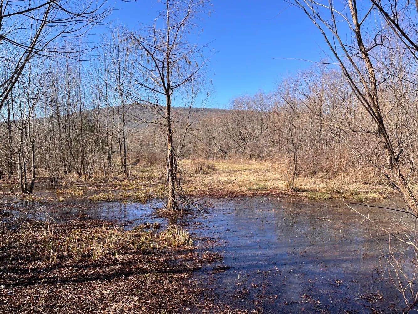 Paint Rock Hunting & Recreation - Swaim, Alabama, 35745