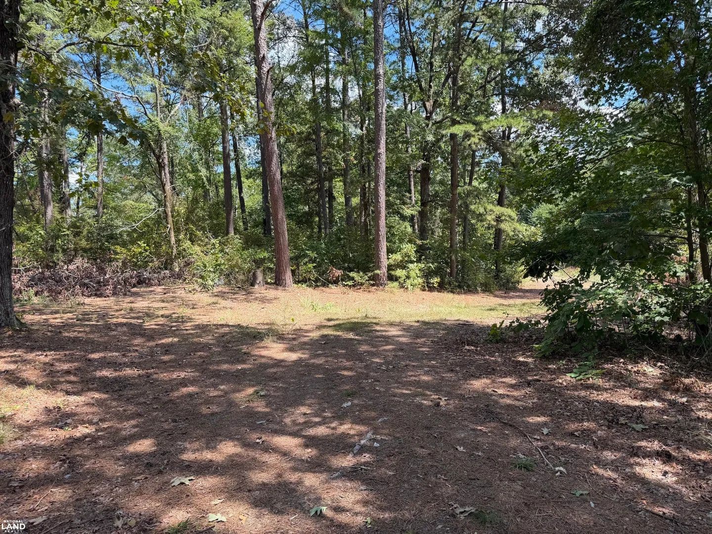 67.02 Acres Timberland & Development Land - Arkadelphia, Arkansas, 71923