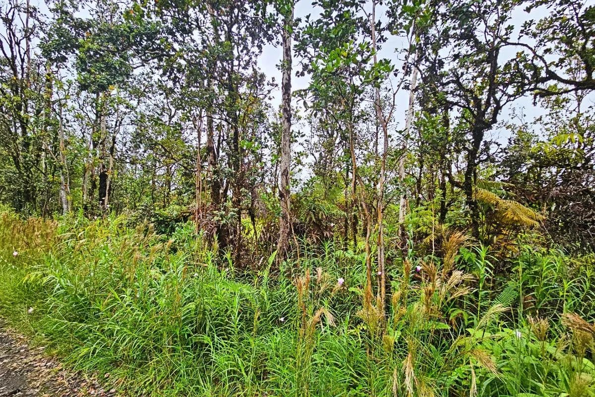 Vacant Land in Mountain View - Mountain View, Hawaii, 96771
