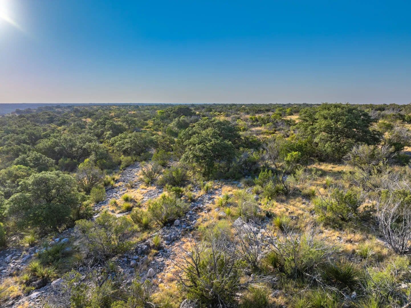 Tracts 43 & 47 - Texas West Ranch - Ozona, Texas, 76943