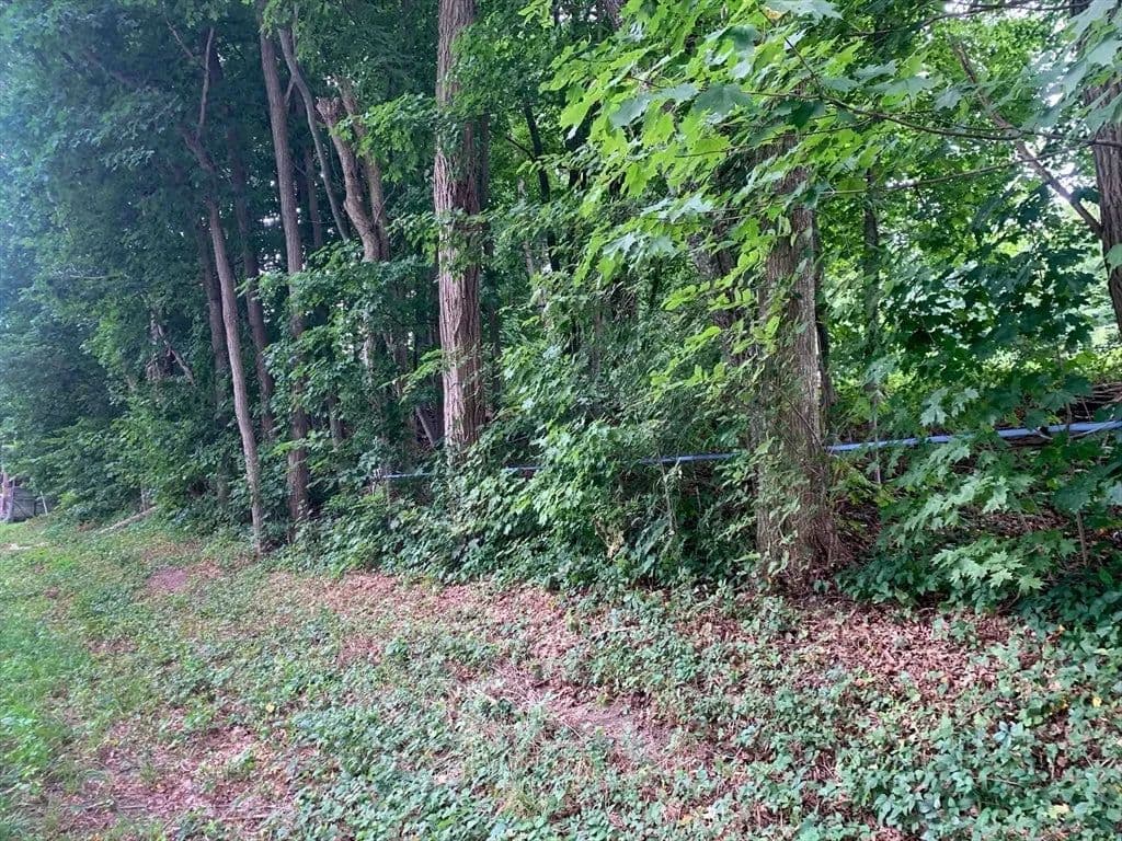 Lots & Land-Other in Whately - Whately, Massachusetts, 01093