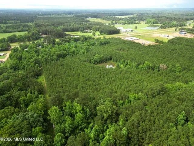 Land for Sale in Brookhaven, MS - Brookhaven, Mississippi, 39601