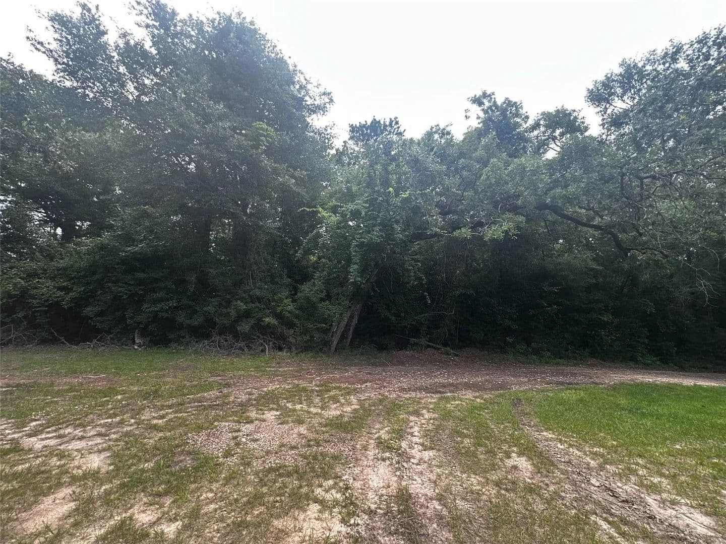Vacant Land in Livingston - Livingston, Texas, 77351