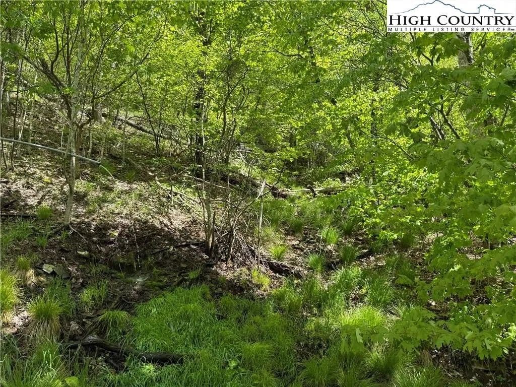 Lots & Land-Other in Banner Elk - Banner Elk, North Carolina, 28604