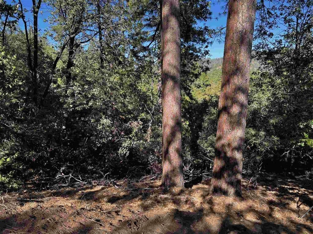 Lots & Land-Other in Sonora - Sonora, California, 95370