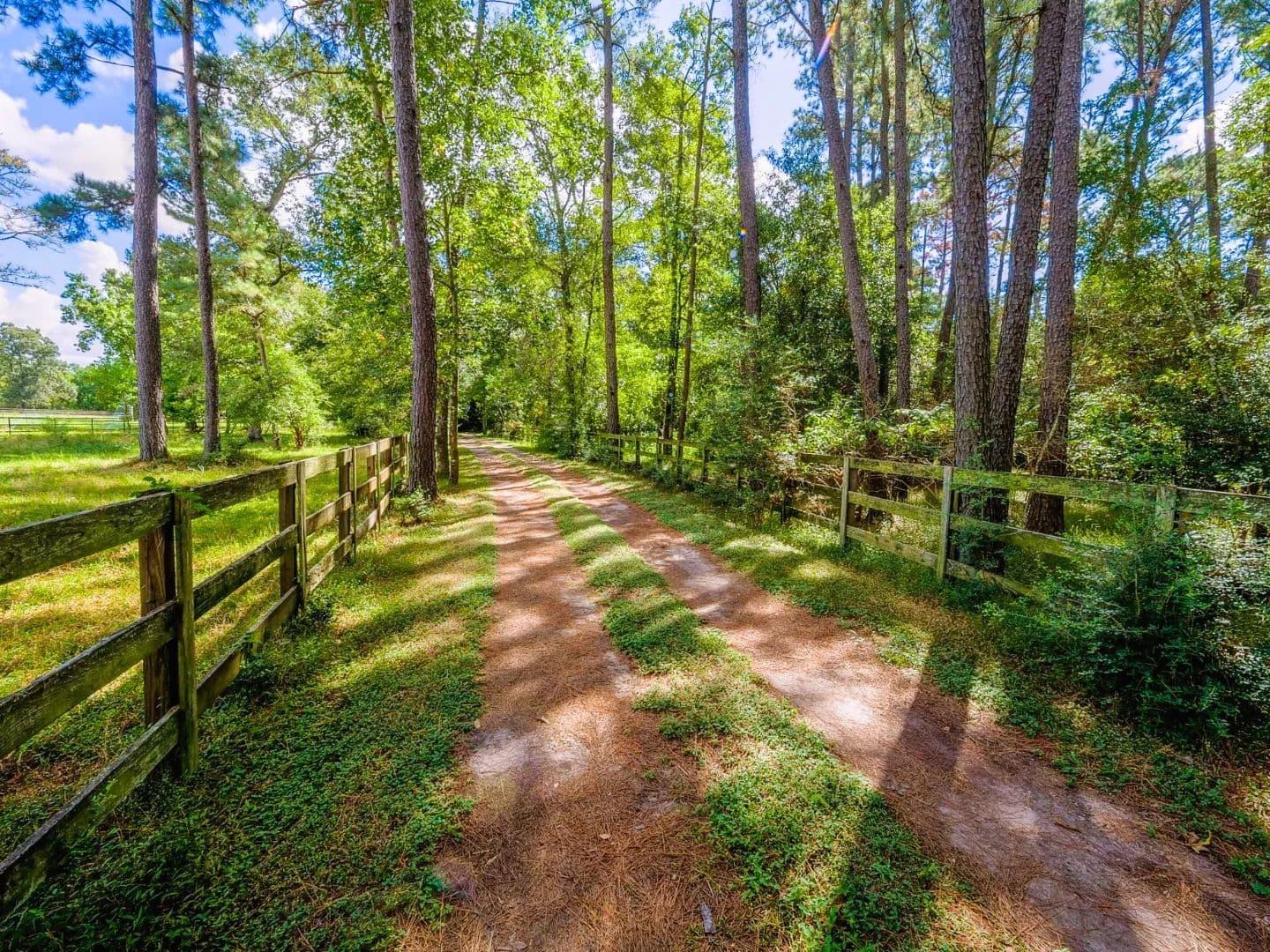 Cimarron 6 - Magnolia, Texas, 77354