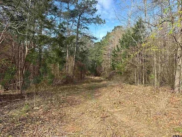 Vacant Land (10+ Acres) in Tyler - Tyler, Texas, 75704