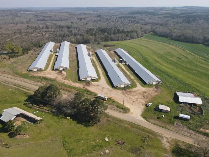 Little Judy Creek Broiler Farm – Five House Farm in Dale County, Alabama