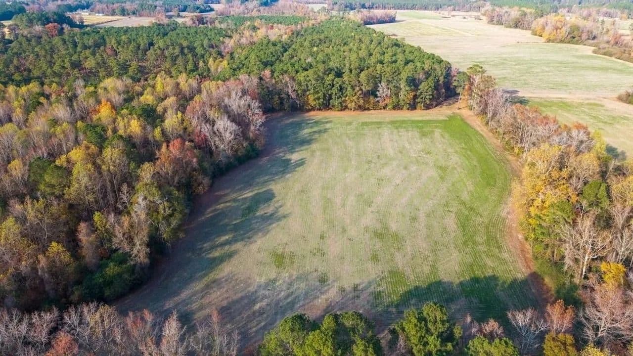 41.5 Acres of Timber, Farmland & Opportunity in Duplin County, NC! - Teachey, North Carolina, 28464