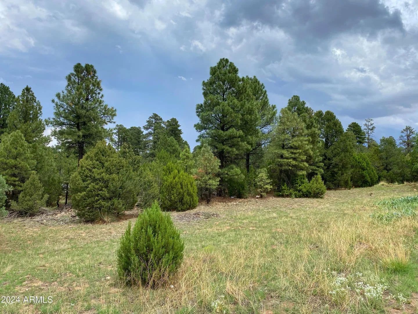 1.11 Acres of Land for Sale in Overgaard, Arizona - Overgaard, Arizona, 85933