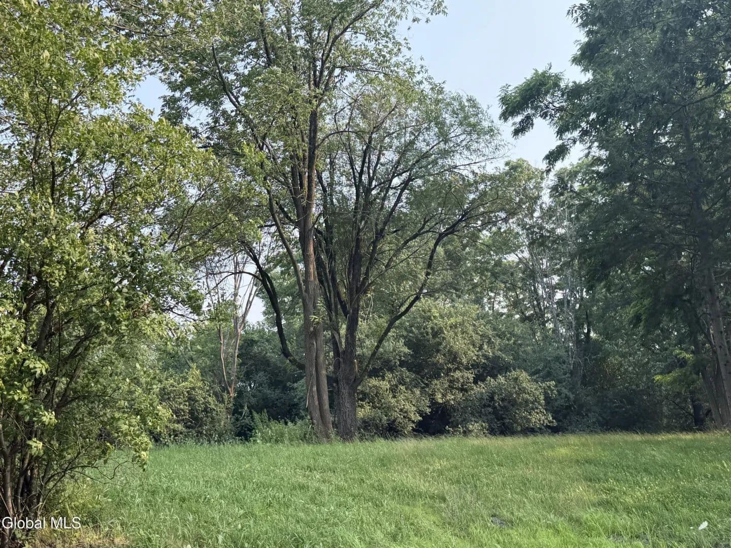 Land -Single Family Acreage in Schenectady - Schenectady, New York, 12056