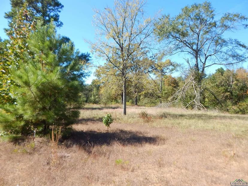 Vacant Land in Gilmer