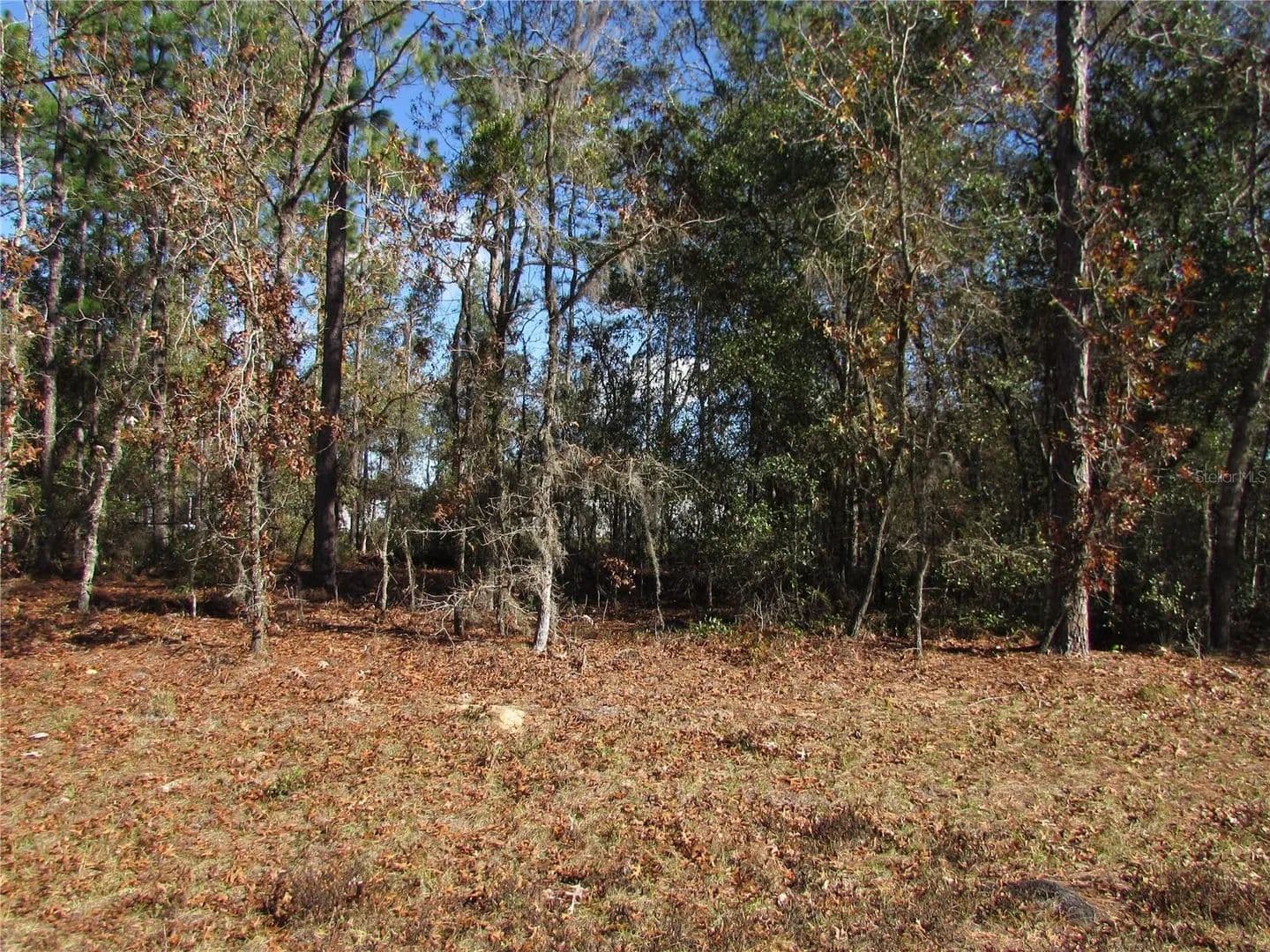 Lots & Land-Other in OCALA - Ocala, Florida, 34473