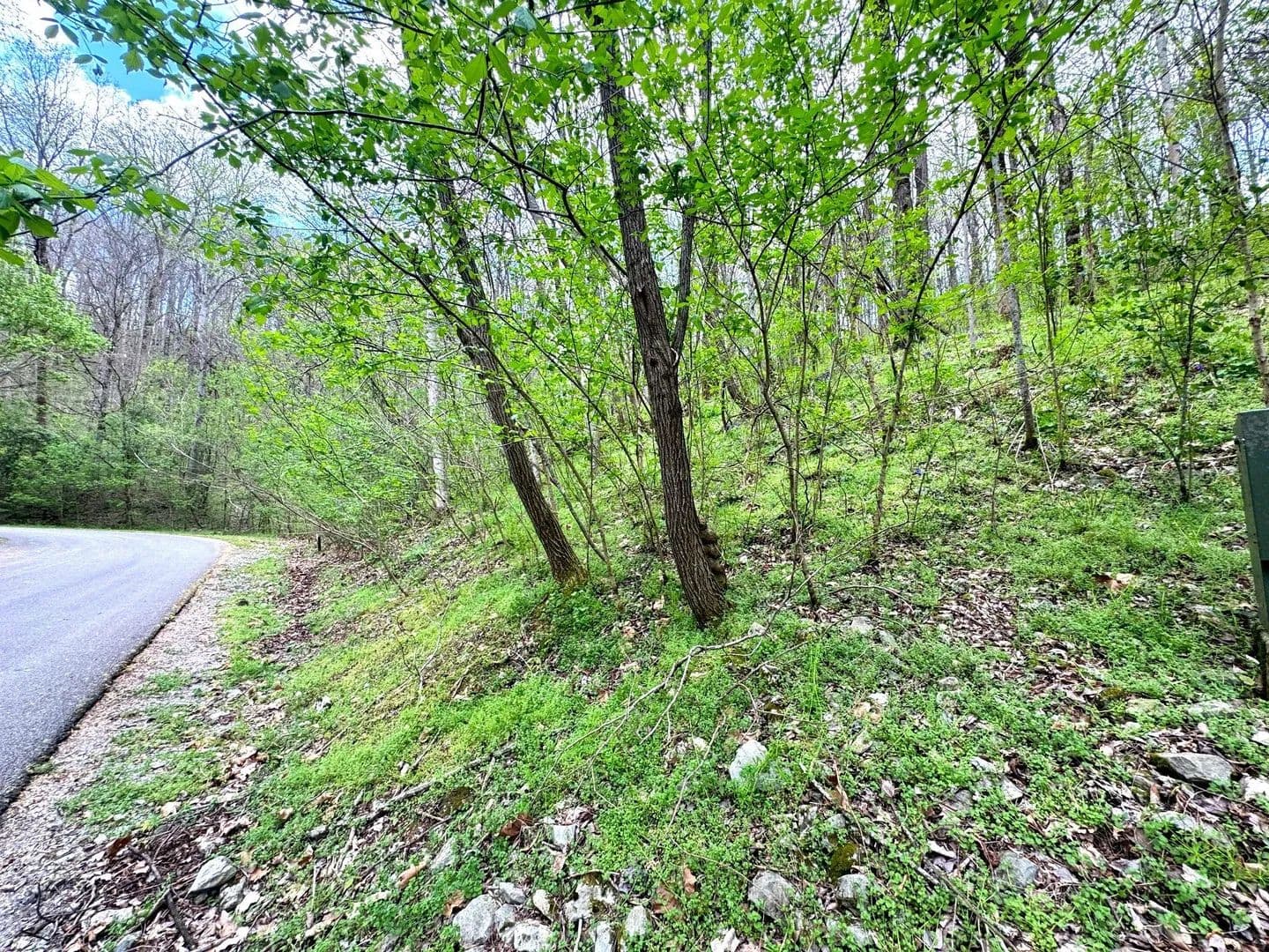 Lots & Land-Other in Smithville - Smithville, Tennessee, 37166