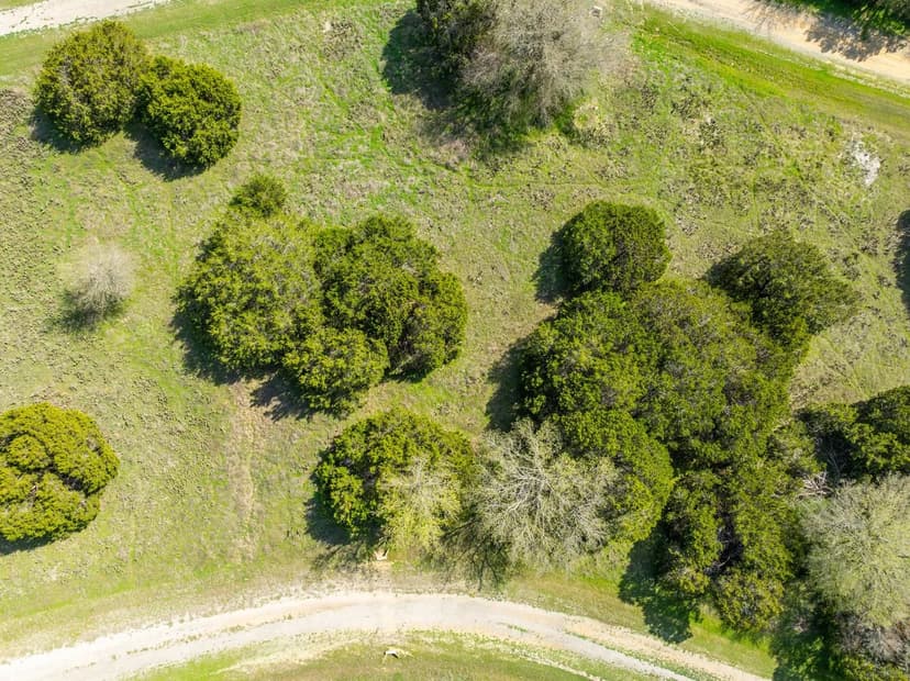 Property from 11082 Briarwood Drive - KW