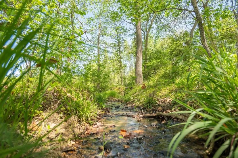 Beautiful 25 +/- AC For Sale in Stoddard Co.