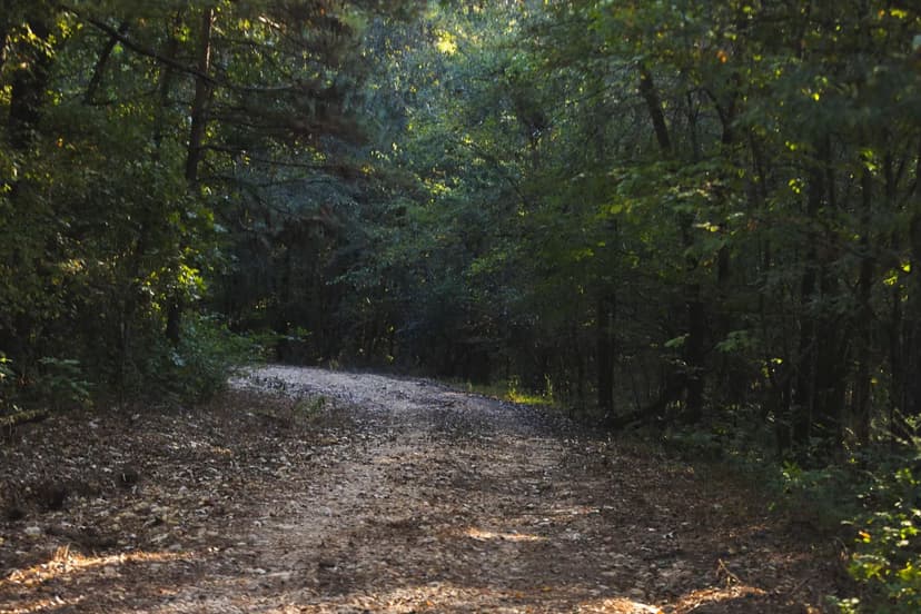 480 Acres in Hempstead County, AR 