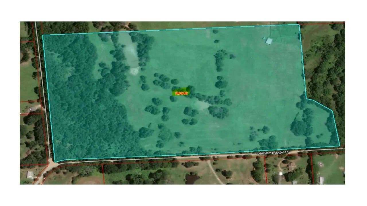 157.24 Acres of Land for Sale in Ravenna, TX - Ravenna, Texas, 75418