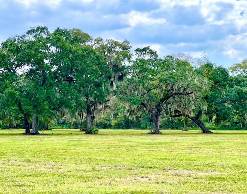 Property from 4239 CR 348 - KW