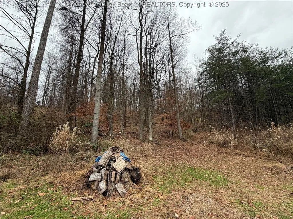 Lots & Land-Other in Winfield - Winfield, West Virginia, 25213