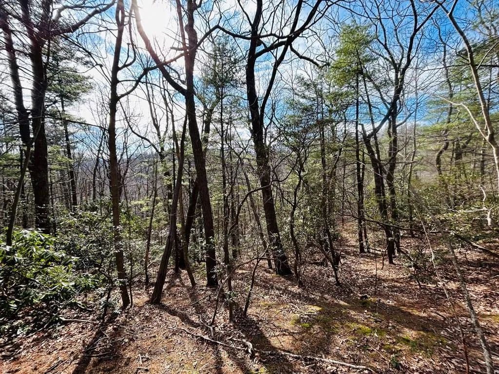 Vacant Land in Fancy Gap - Fancy Gap, Virginia, 24328