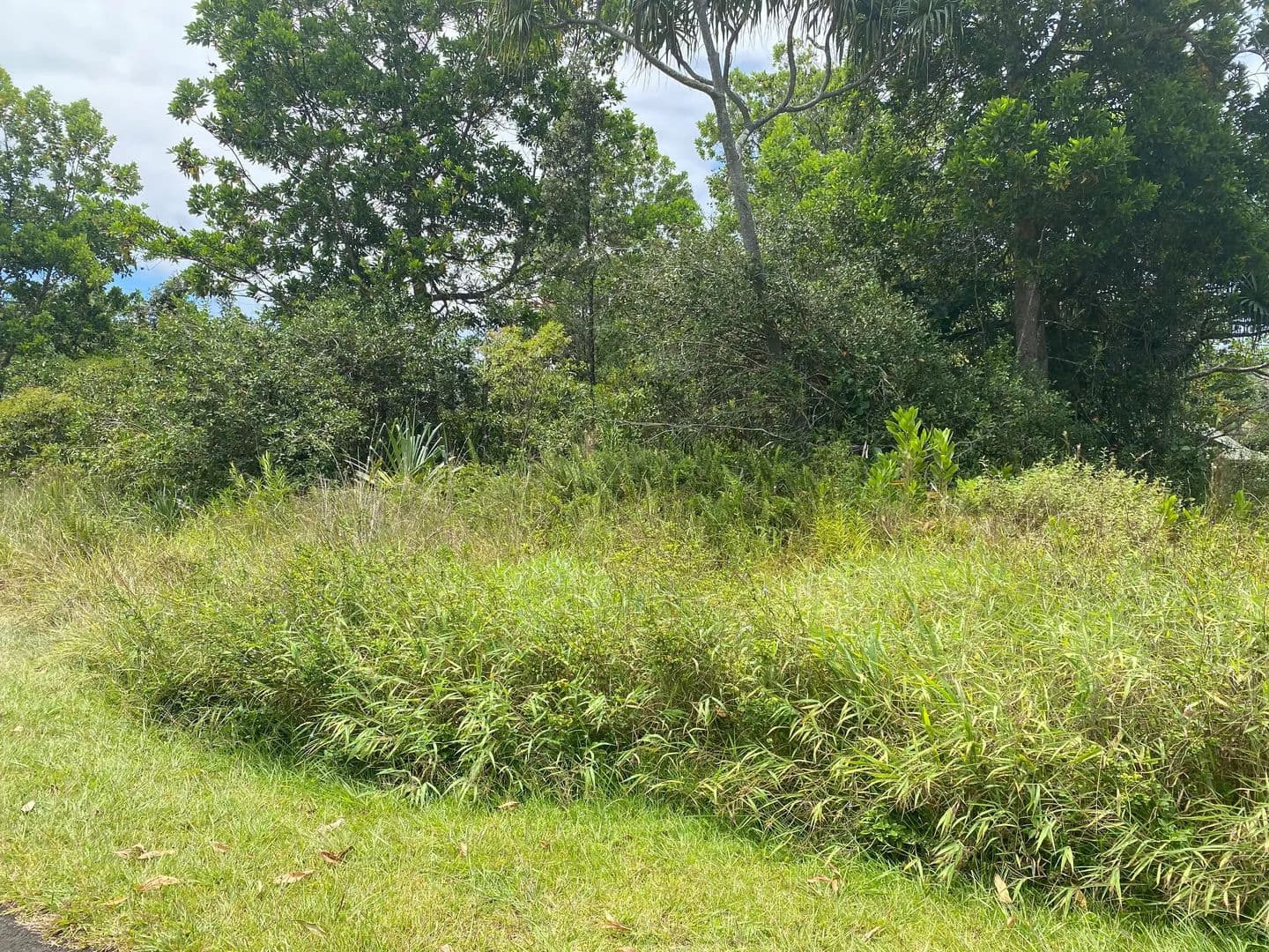 Vacant Land in Pahoa - Pahoa, Hawaii, 96778