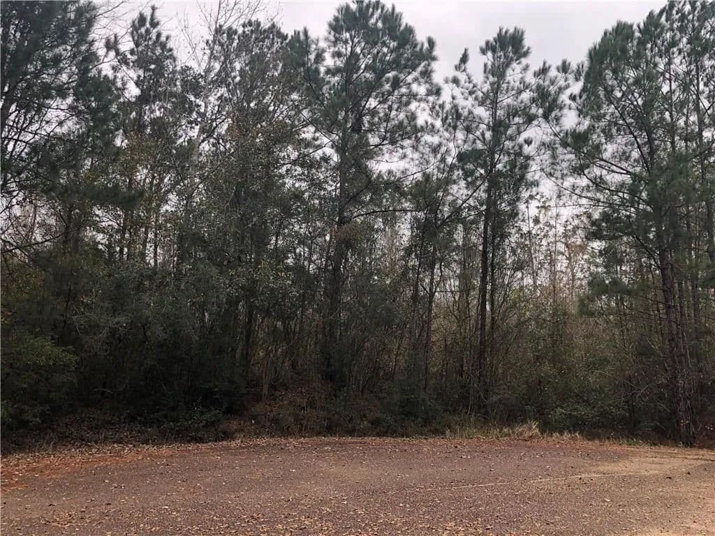 Lots & Land-Other in Pearl River - Pearl River, Louisiana, 70452