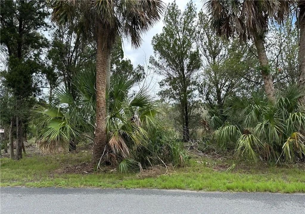 Land -Single Family Acreage in Homosassa - Homosassa, Florida, 34448