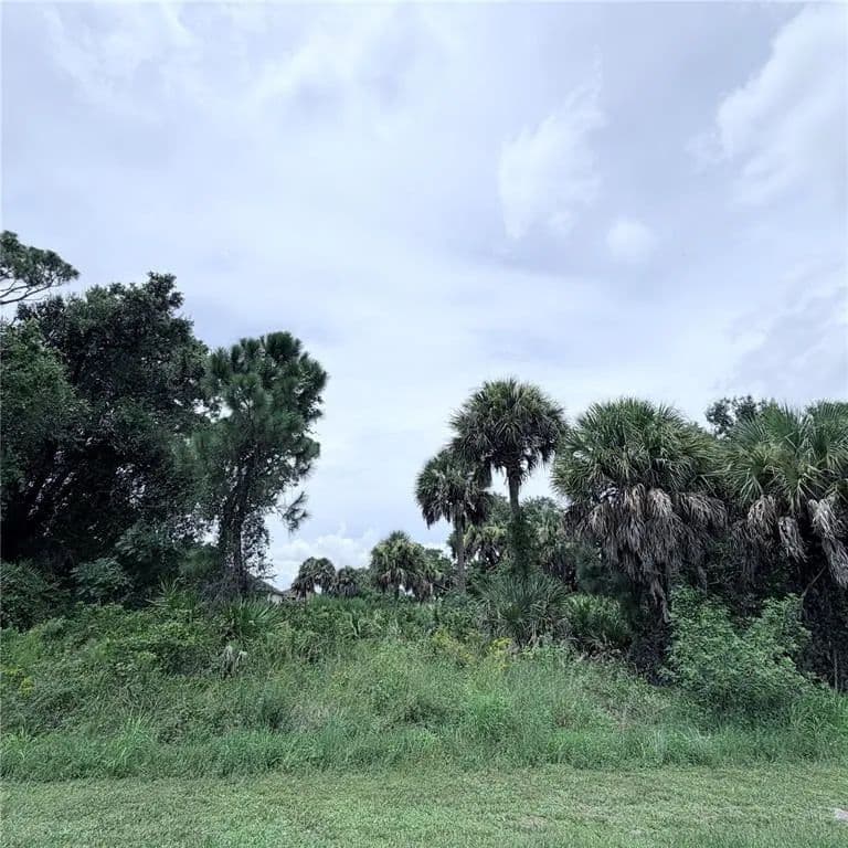 Vacant Land in North Port - North Port, Florida, 34287