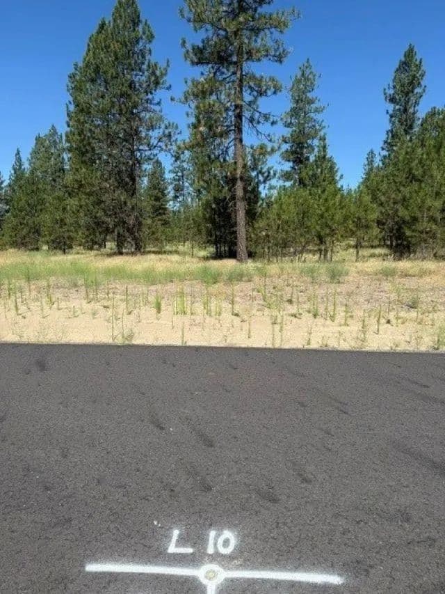 Vacant Land in Nine Mile Falls - land for sale