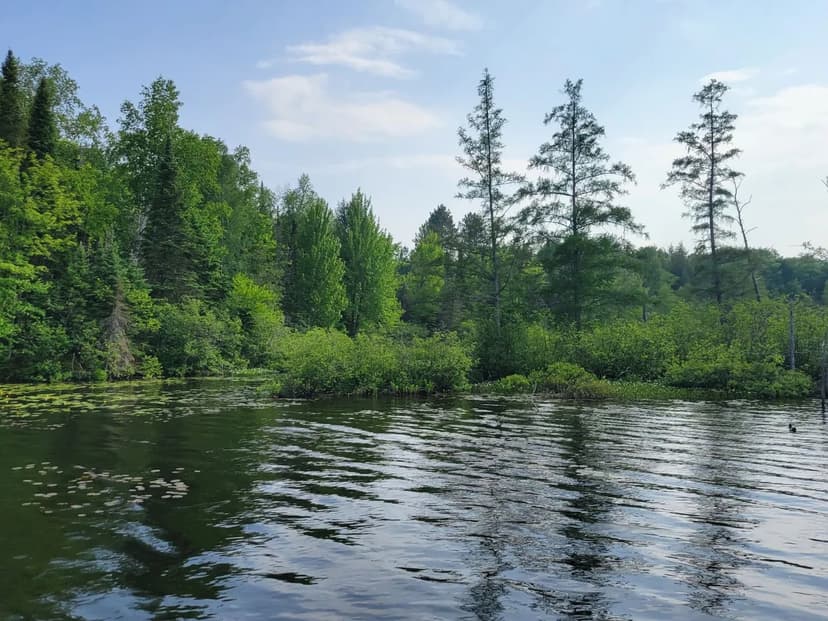 Vacant Land (0-10 Acres) in Watersmeet