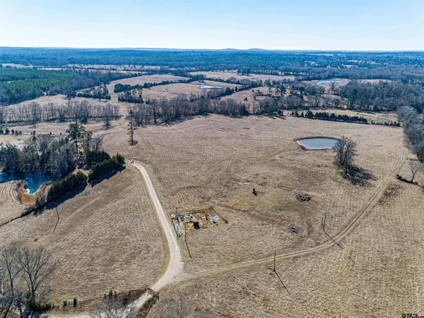 Property from TBD County Road 317 #TBD County Road 317 - KW