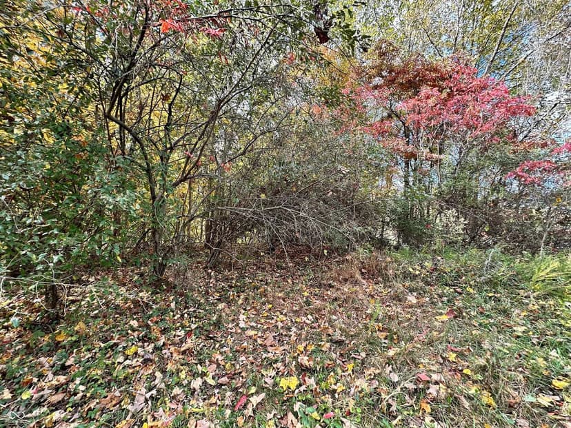 Property from 0 Foxcliff East Drive S - KW