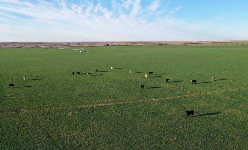 Garden Valley Land & Cattle Co.