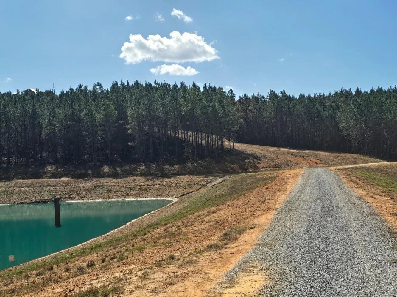 Centreville Hwy 82 Home Sites & Hunting Opportunity - Centreville, Alabama, 35042