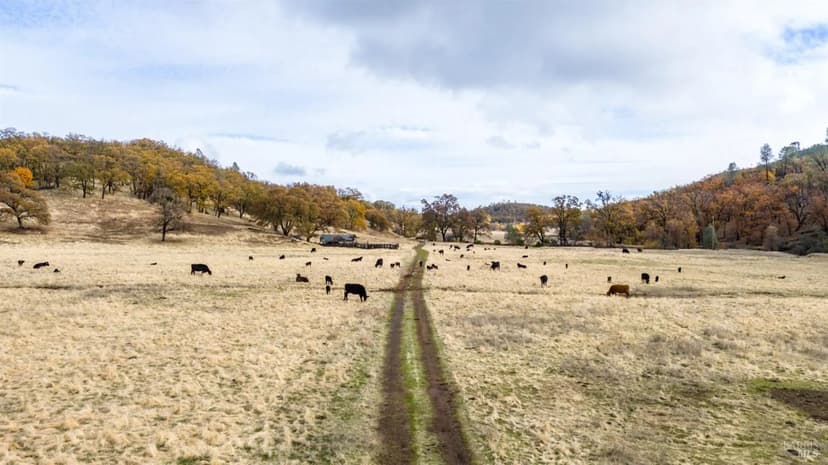 Lots & Land-Other in Lower Lake