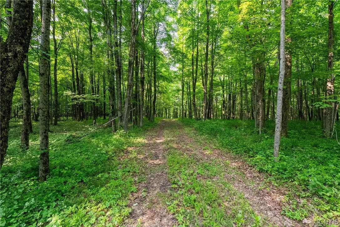 Property from Cummings Road - KW - Lacona, New York, 13083