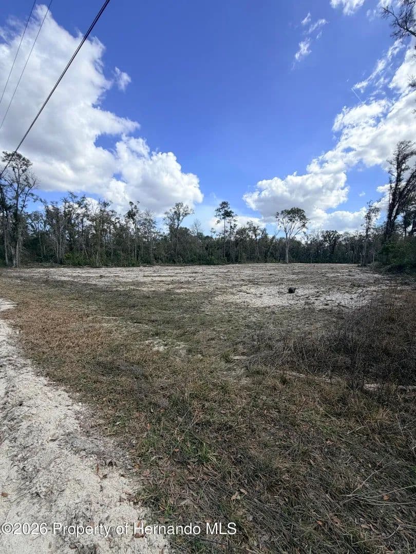 3.15 Acres of Land for Sale in Old Town, FL - Old Town, Florida, 32680