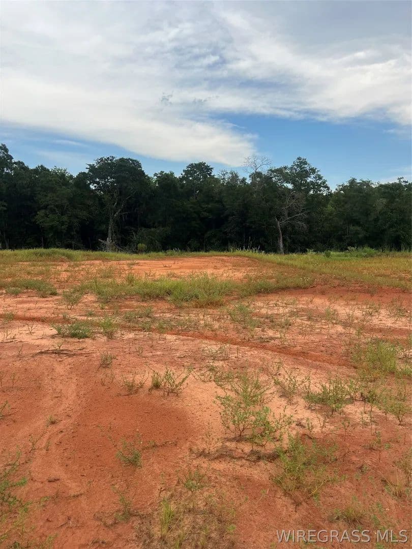 Vacant Land in Enterprise - Enterprise, Alabama, 36330