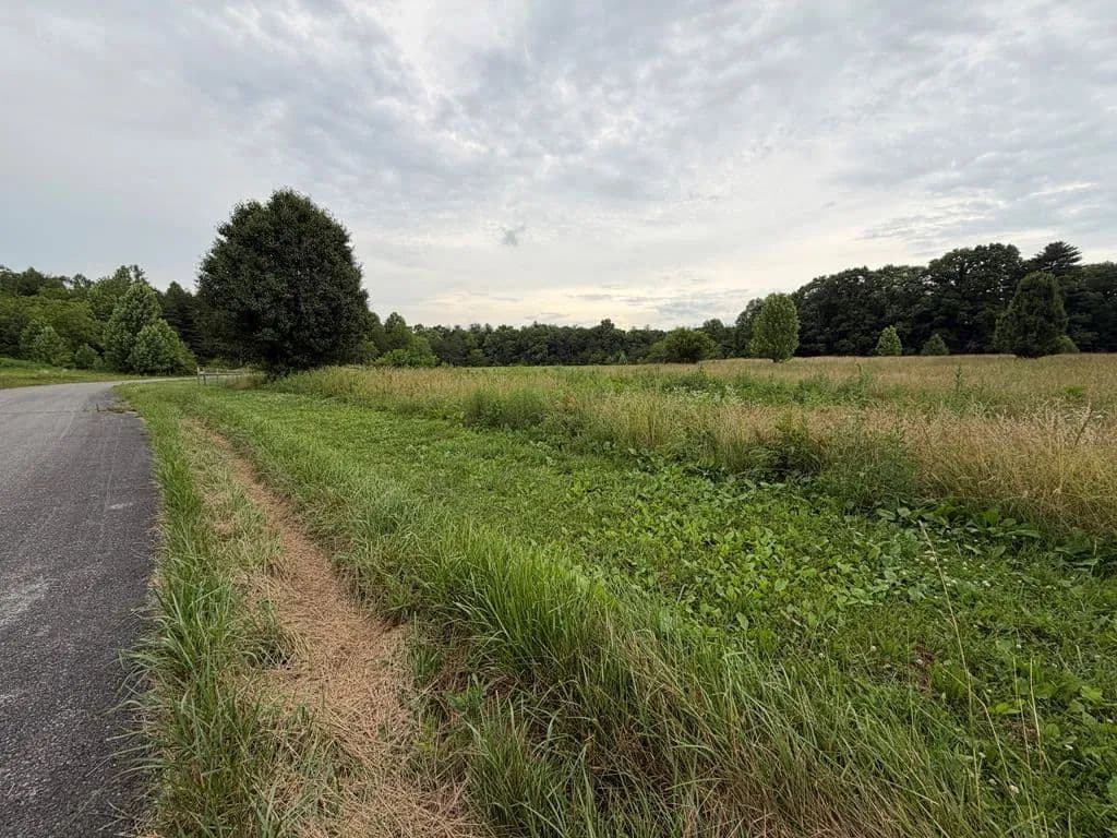 Property from 9.8 Ac Tyler Trail - KW - Jamestown, Tennessee, 38556