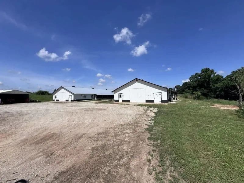 Baicor Breeder Farm – Two House Farm in Franklin County, Georgia - Lavonia, Georgia, 30553
